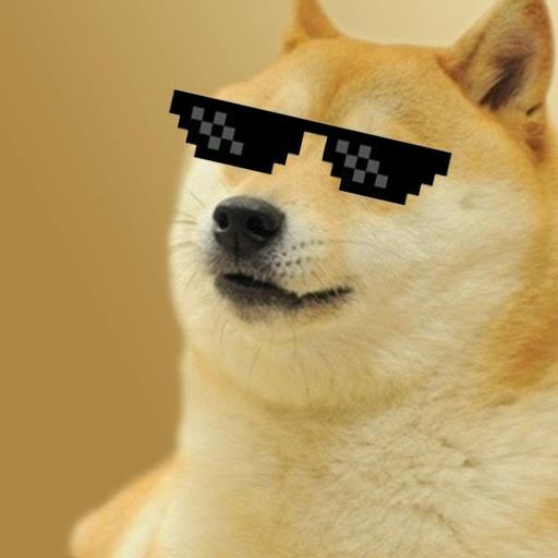 Avatar von fr1ght