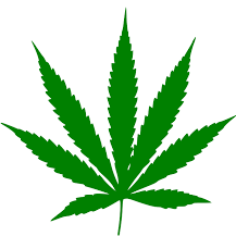 Avatar von WEED